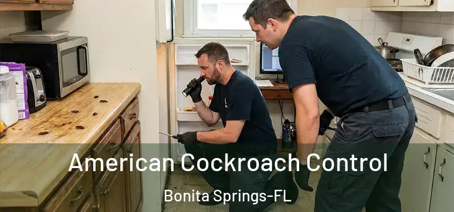 American Cockroach Control Bonita Springs-FL