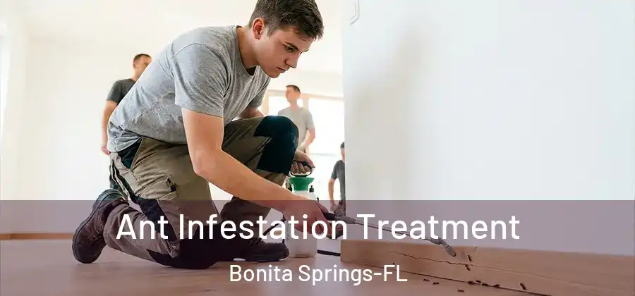 Ant Infestation Treatment Bonita Springs-FL