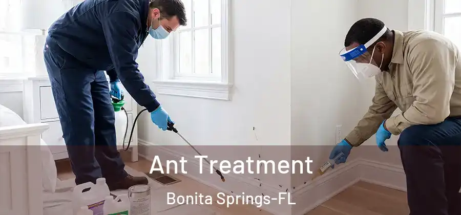  Ant Treatment Bonita Springs-FL