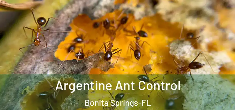 Argentine Ant Control Bonita Springs-FL