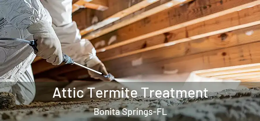 Attic Termite Treatment Bonita Springs-FL