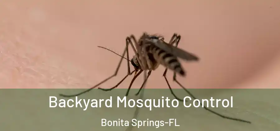 Backyard Mosquito Control Bonita Springs-FL