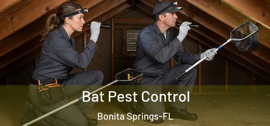 Bat Pest Control Bonita Springs-FL