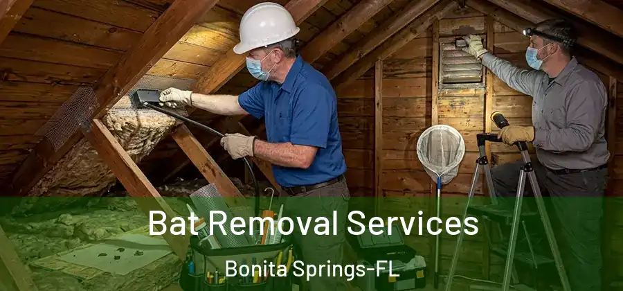 Bat Removal Services Bonita Springs-FL