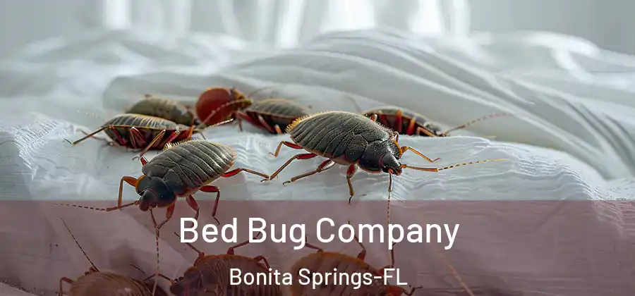 Bed Bug Company Bonita Springs-FL