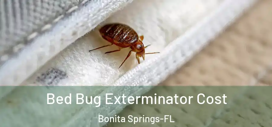 Bed Bug Exterminator Cost Bonita Springs-FL