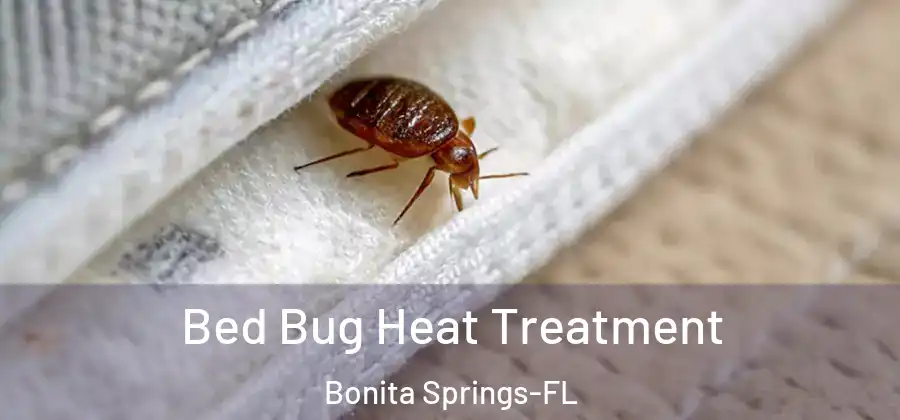  Bed Bug Heat Treatment Bonita Springs-FL