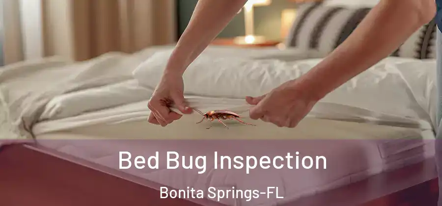 Bed Bug Inspection Bonita Springs-FL
