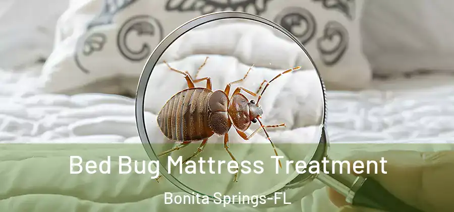 Bed Bug Mattress Treatment Bonita Springs-FL