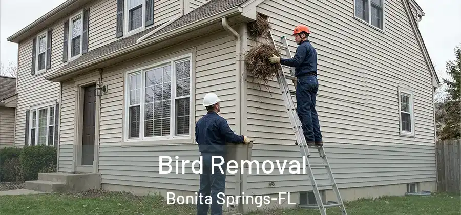 Bird Removal Bonita Springs-FL