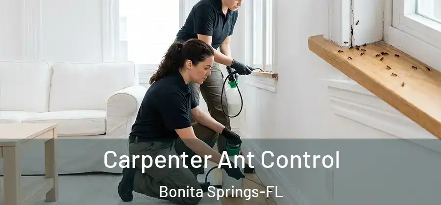  Carpenter Ant Control Bonita Springs-FL
