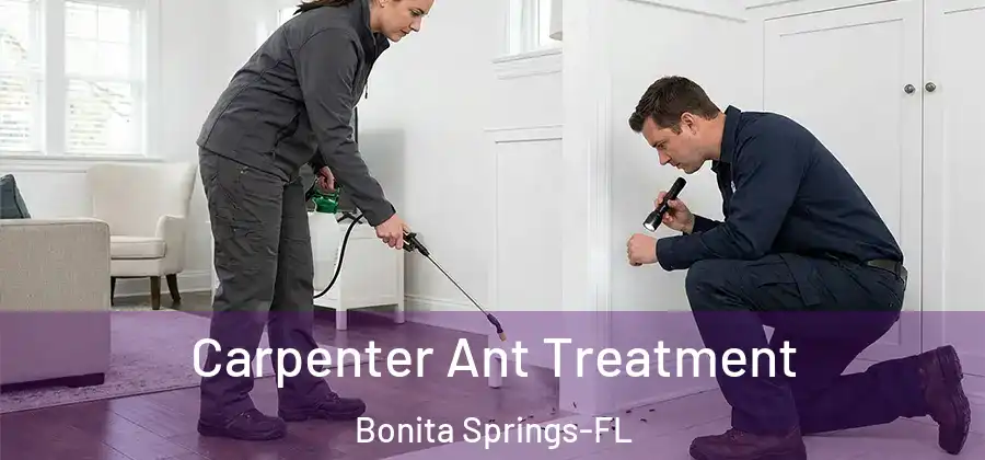 Carpenter Ant Treatment Bonita Springs-FL