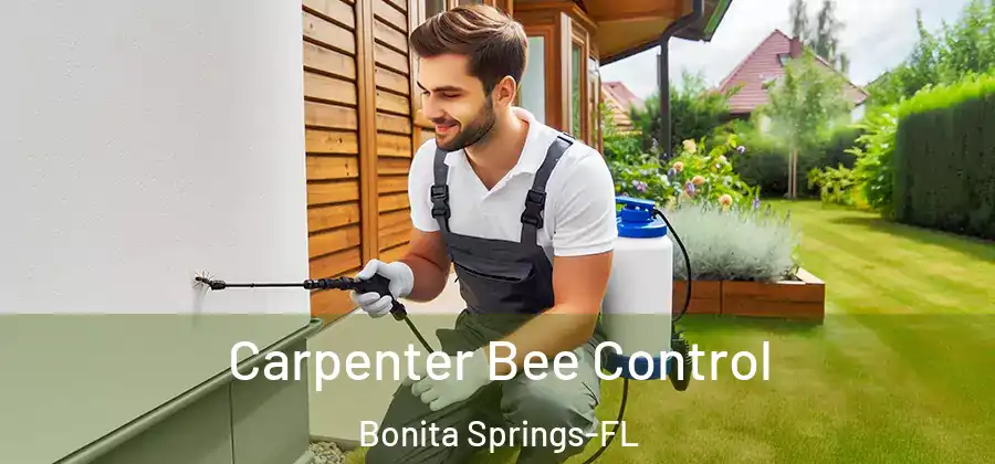 Carpenter Bee Control Bonita Springs-FL