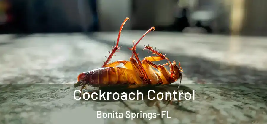 Cockroach Control Bonita Springs-FL