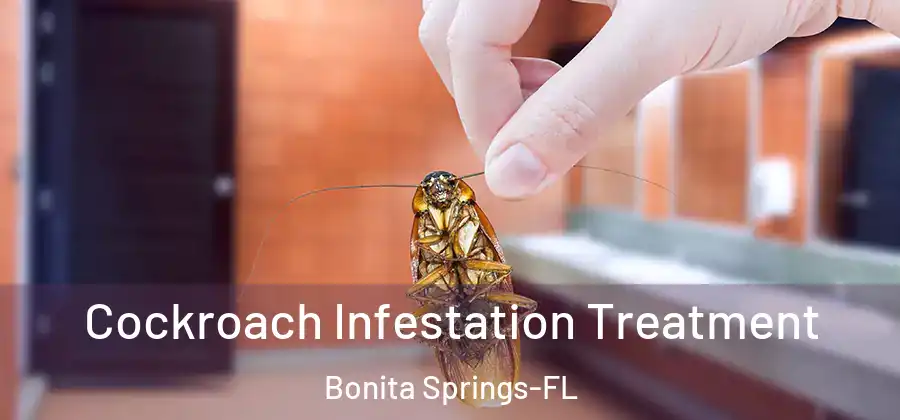 Cockroach Infestation Treatment Bonita Springs-FL