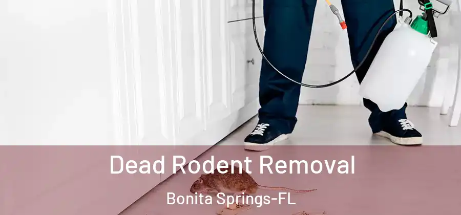 Dead Rodent Removal Bonita Springs-FL