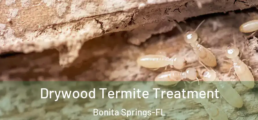  Drywood Termite Treatment Bonita Springs-FL