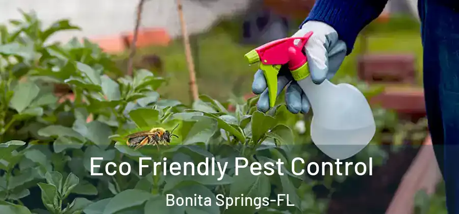 Eco Friendly Pest Control Bonita Springs-FL