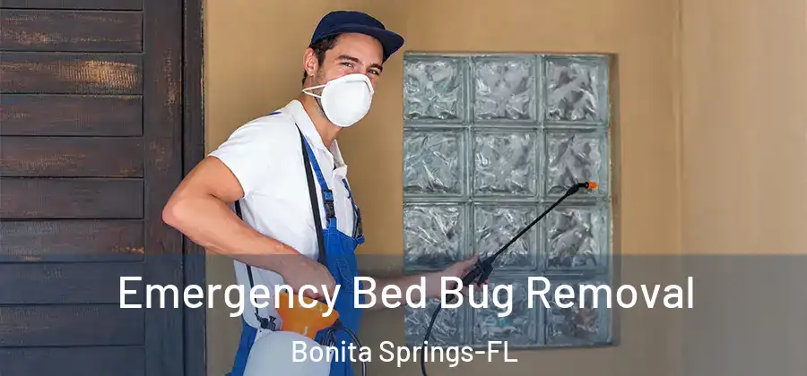 Emergency Bed Bug Removal Bonita Springs-FL