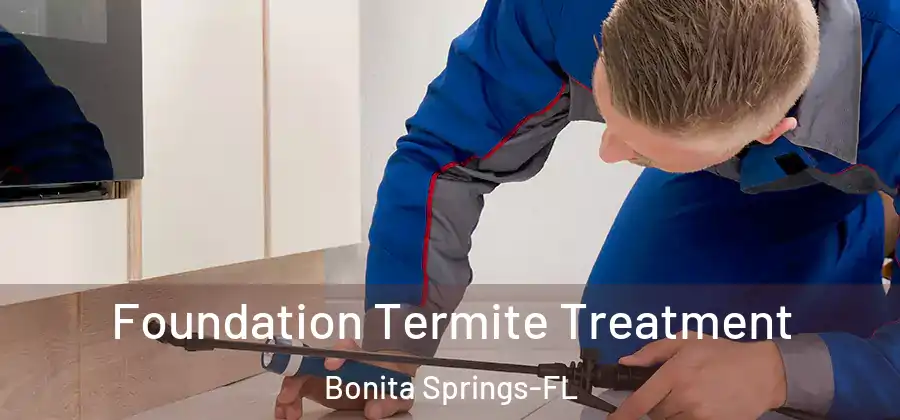 Foundation Termite Treatment Bonita Springs-FL