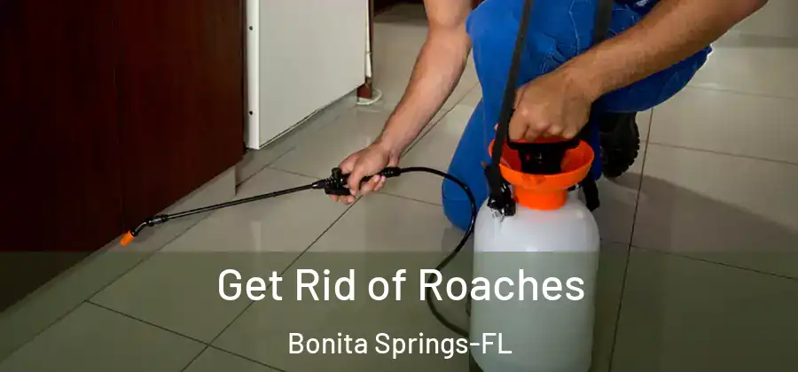  Get Rid of Roaches Bonita Springs-FL