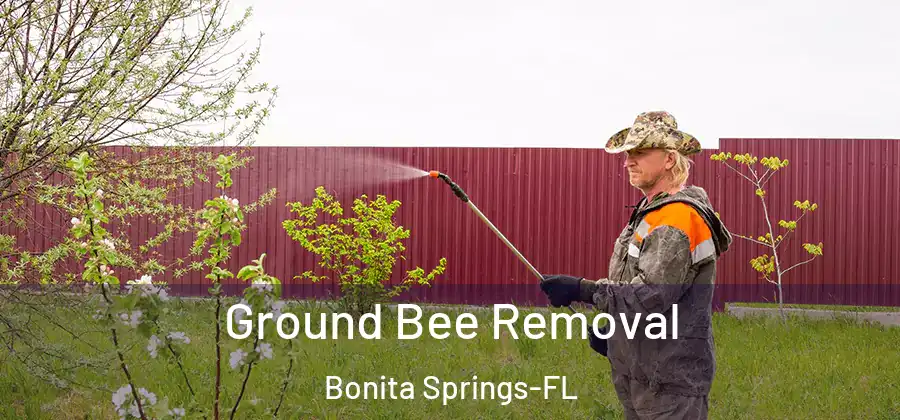 Ground Bee Removal Bonita Springs-FL