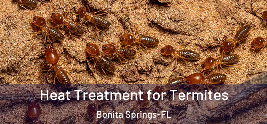  Heat Treatment for Termites Bonita Springs-FL