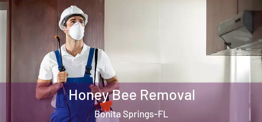 Honey Bee Removal Bonita Springs-FL