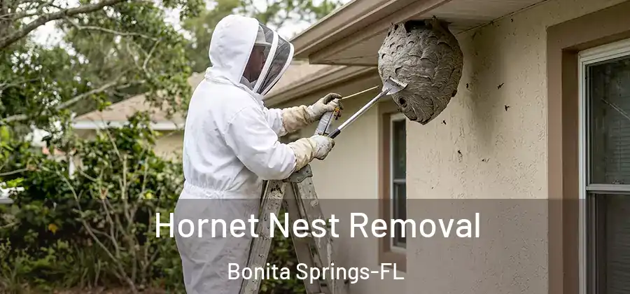 Hornet Nest Removal Bonita Springs-FL
