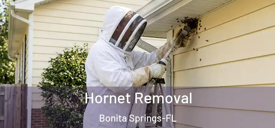  Hornet Removal Bonita Springs-FL