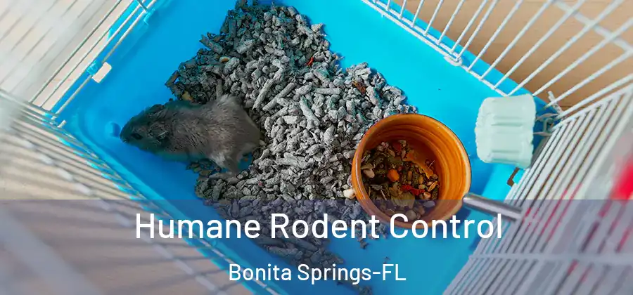 Humane Rodent Control Bonita Springs-FL