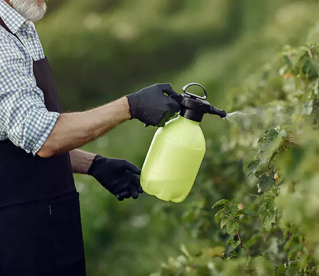 Your Proven Mosquito Treatment Company in Bonita Springs, FL