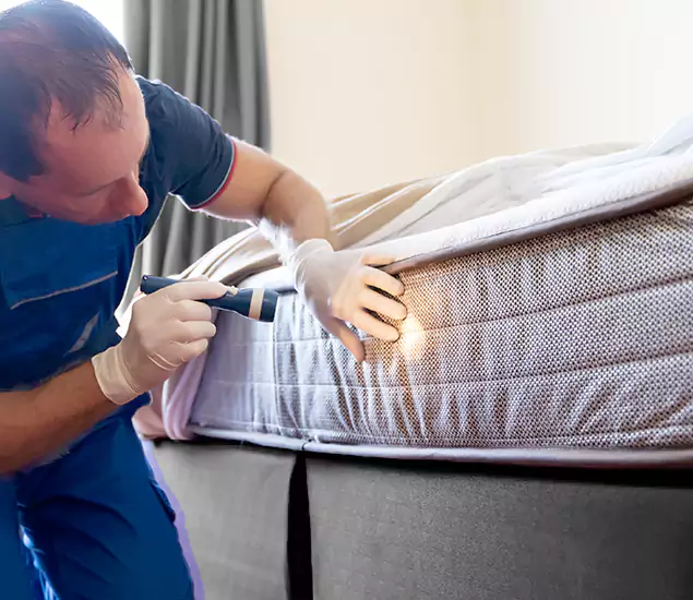 Trusted Bed Bug Cost Experts in Bonita Springs, FL