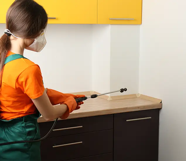 Trusted Bed Bug Pest Control Specialist in Bonita Springs, FL