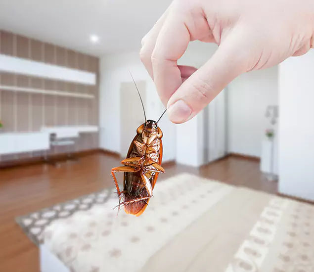 Your Cockroach Control Services in Bonita Springs, FL