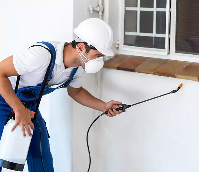 Your Professional Cockroach Exterminator in Bonita Springs, FL