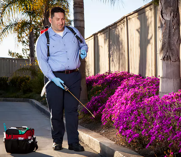 About Our Eco Safe Pest Control Experts in Bonita Springs, FL