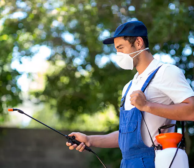 Your Trusted Flea and Tick Control in Bonita Springs, FL