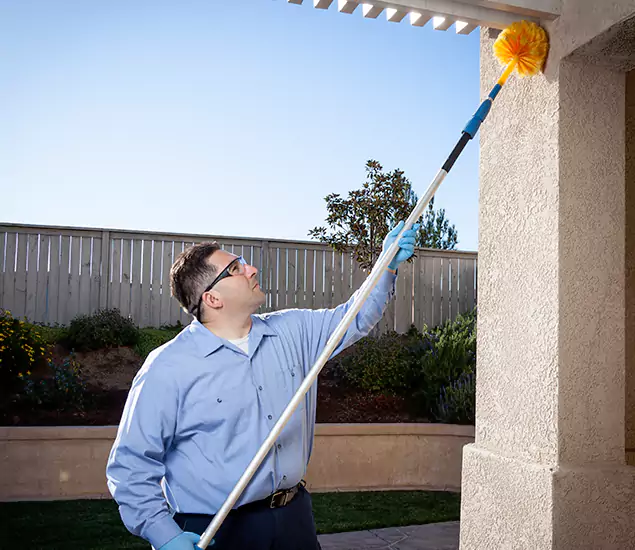 Trusted Experts in Bonita Springs FL for Formosan Termite Treatment and Black Termite Control