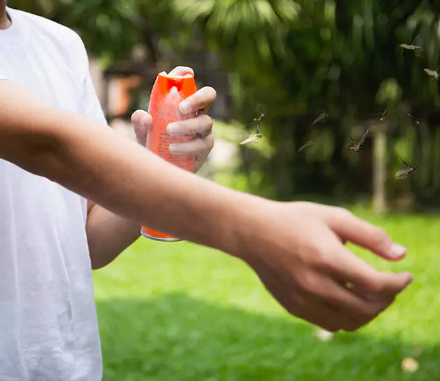 Your Best Indoor Bug Killer Team in Bonita Springs, FL
