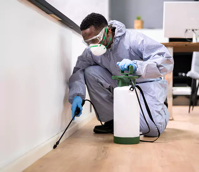 Leading Industrial Pest Control Experts Serving Bonita Springs, FL