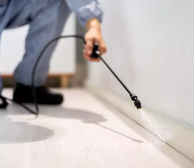 About Our Liquid Termite Treatment Experts in Bonita Springs, FL