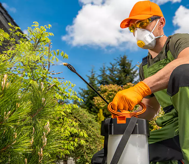 Reliable Mosquito Pest Control Services: Your Proven Mosquito Specialist in Bonita Springs, FL