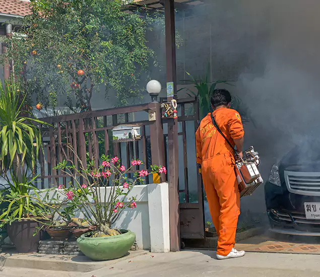 Your Proven Mosquito Fogging Company in Bonita Springs, FL