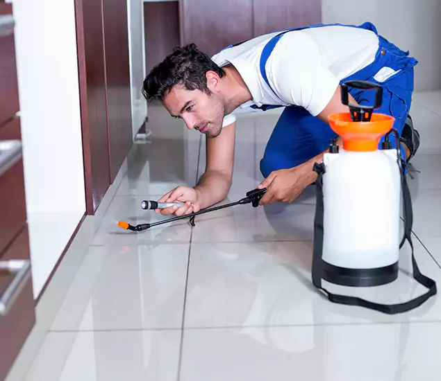 Reliable Professional Mouse Removal: Your Best Mouse Control Company in Bonita Springs, FL