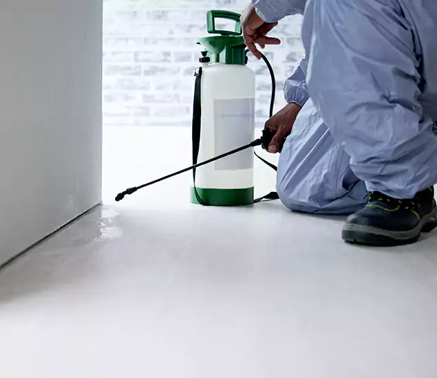 Affordable Pest Control Experts in Bonita Springs, FL