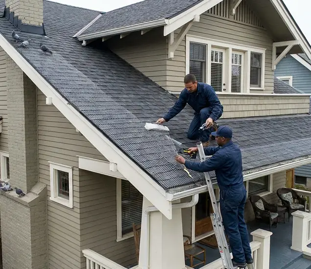 Your Pigeon Control Experts in Bonita Springs, FL