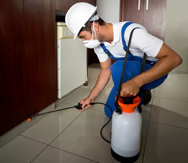 Advanced Termite Pre Treatment Experts in Bonita Springs, FL