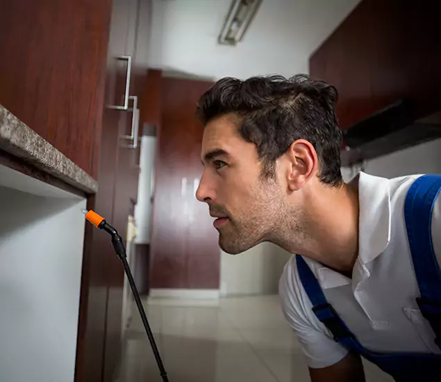 Expert Rodent in Attic Removal: Your Proven Pest Specialists in Bonita Springs, FL