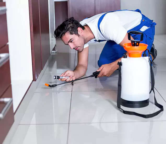 Advanced Slab Termite Treatment Experts You Can Trust&nbsp;in Bonita Springs, FL